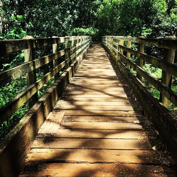 Meet your Posher, Julie - Picture 1 of 1